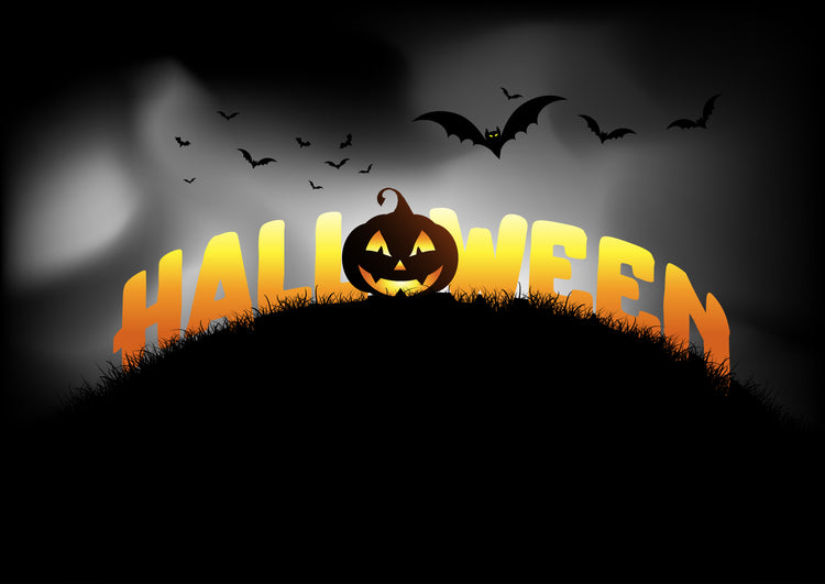 Chauve-souris, citrouilles et brouillard; Halloween se pose tout doucement.